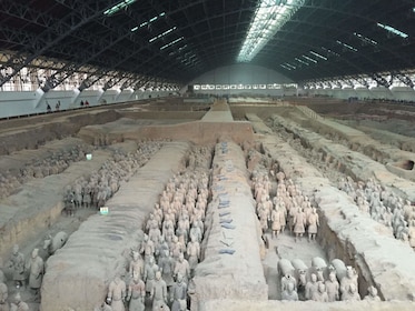 Xi'an One Day Tour by Air with Terra-Cotta Warriorr & Horses