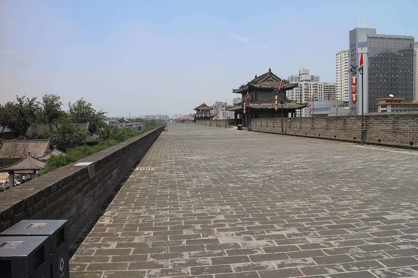 Xi'an One Day Tour by Air with Terra-Cotta Warriorr & Horses