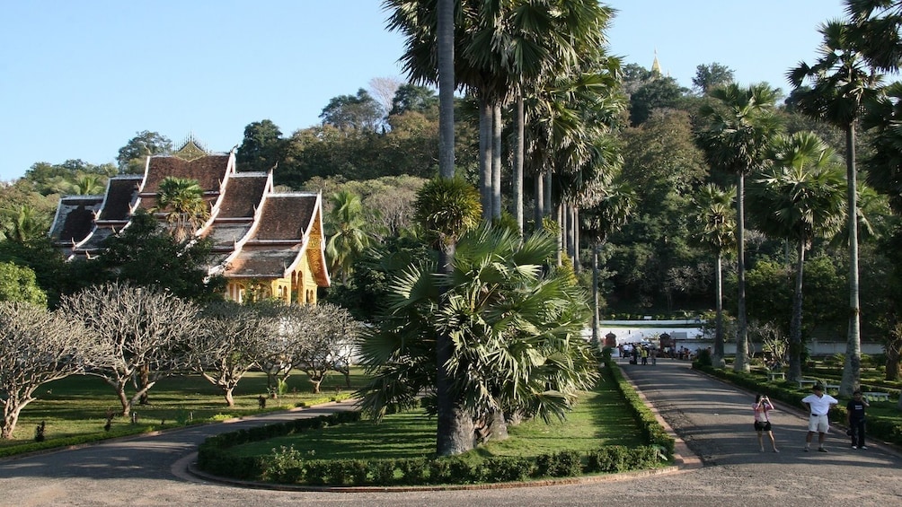 Full day Luang Prabang Hill Tribe Villages Tour