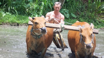 Private Full Day Bali Countryside Experience Tour