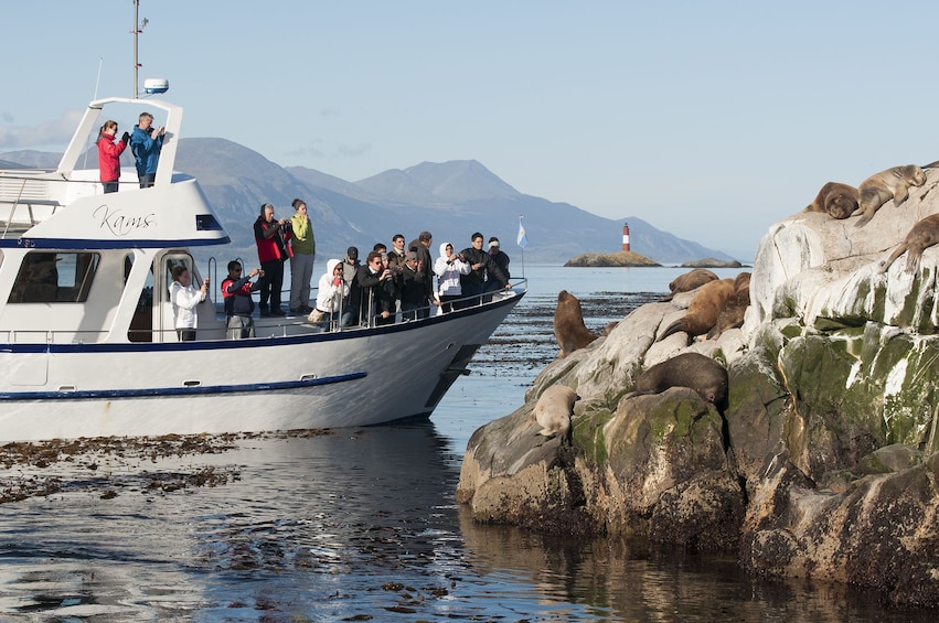 Tourists on boat take pictures of sea lions on shore
