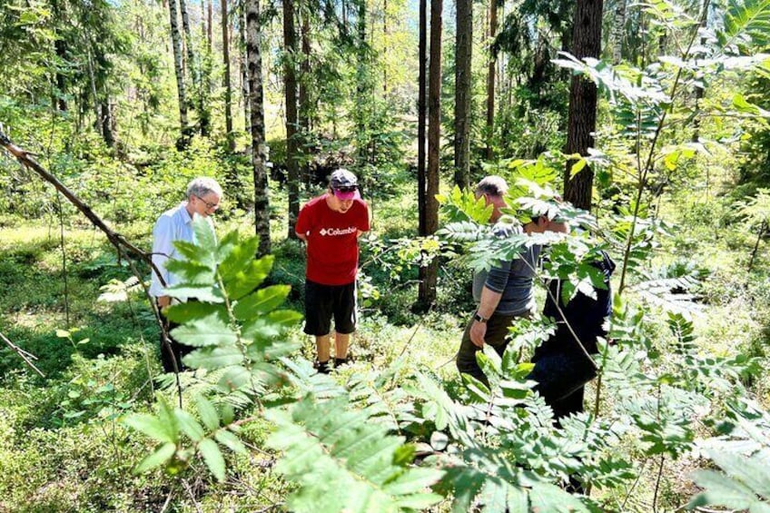 National Park Hike & Finnish Smoke Sauna Experience with Campfire Lunch