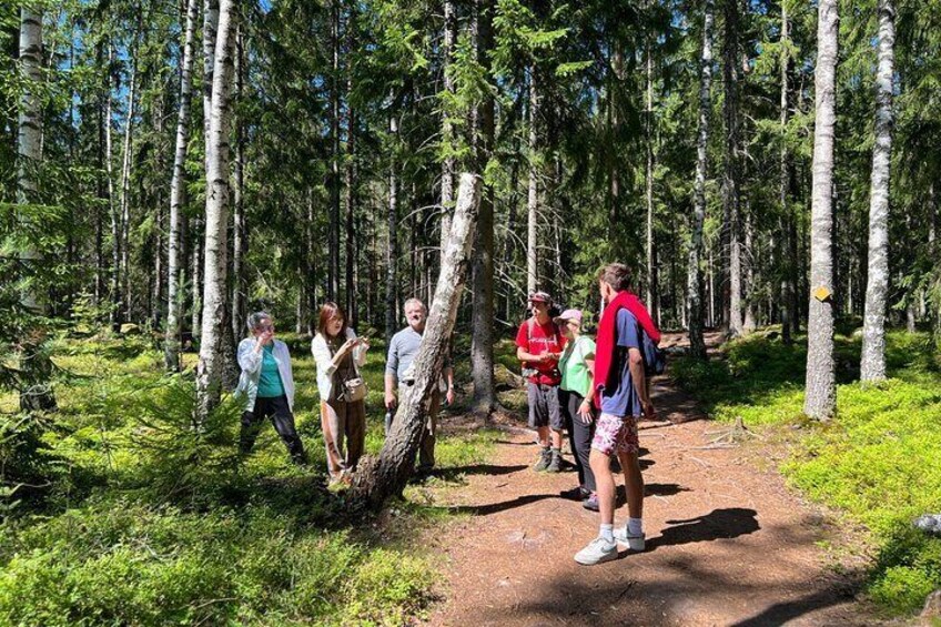 National Park Hike & Finnish Smoke Sauna Experience with Campfire Lunch