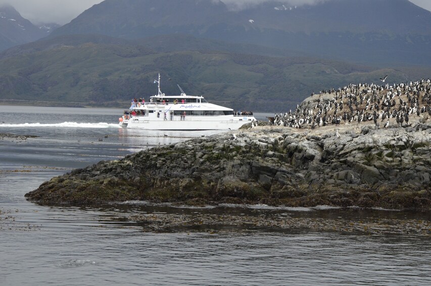 Half-Day Boat Trip to Penguin Colony from Ushuaia