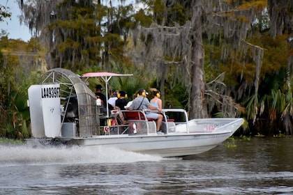 Airboat Adventures: Semi-privat Airboat Experience