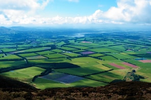 New Zealand Farm & Scenic Day Tour from Christchurch
