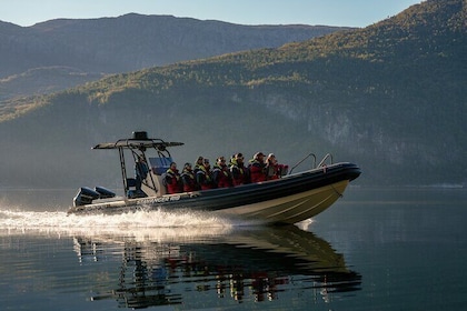 From Stavanger: Lysefjord Sightseeing RIB Boat Tour