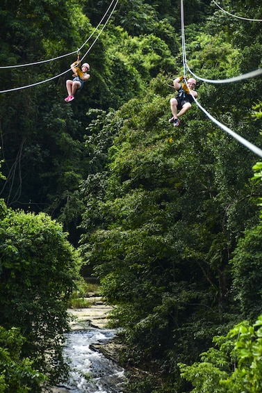 Extreme Ziplines Adventures from Punta Cana