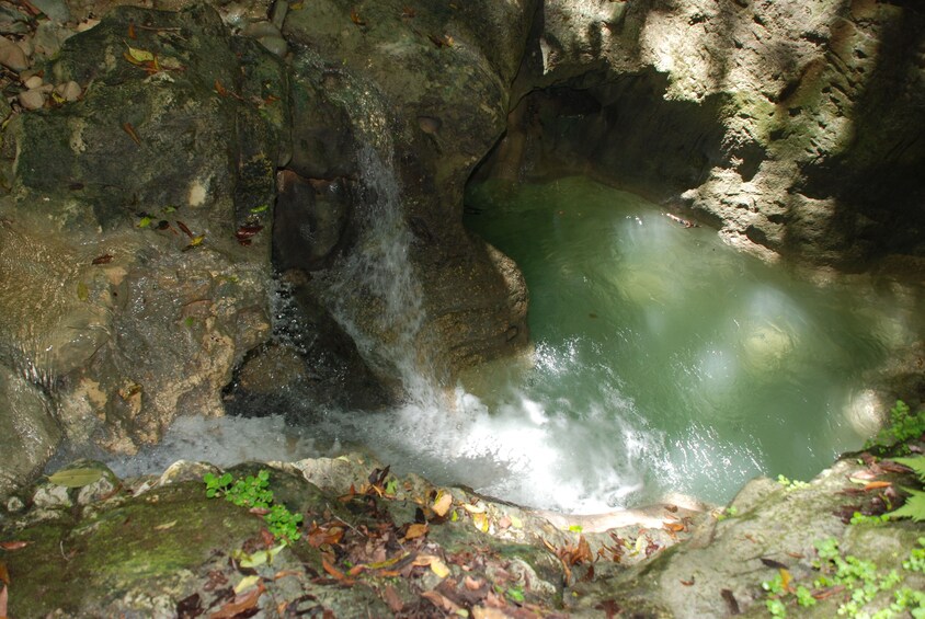 Damajagua Waterfalls Adventure from Puerto Plata