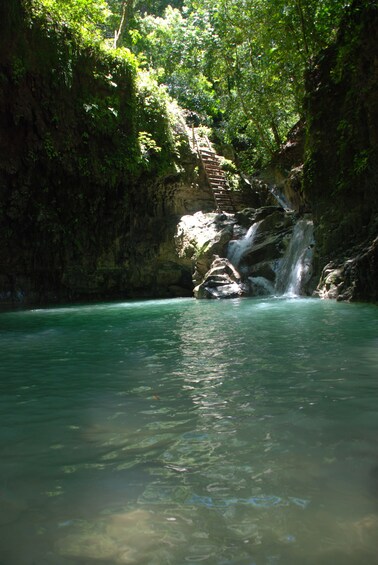 Damajagua Waterfalls Adventure from Puerto Plata