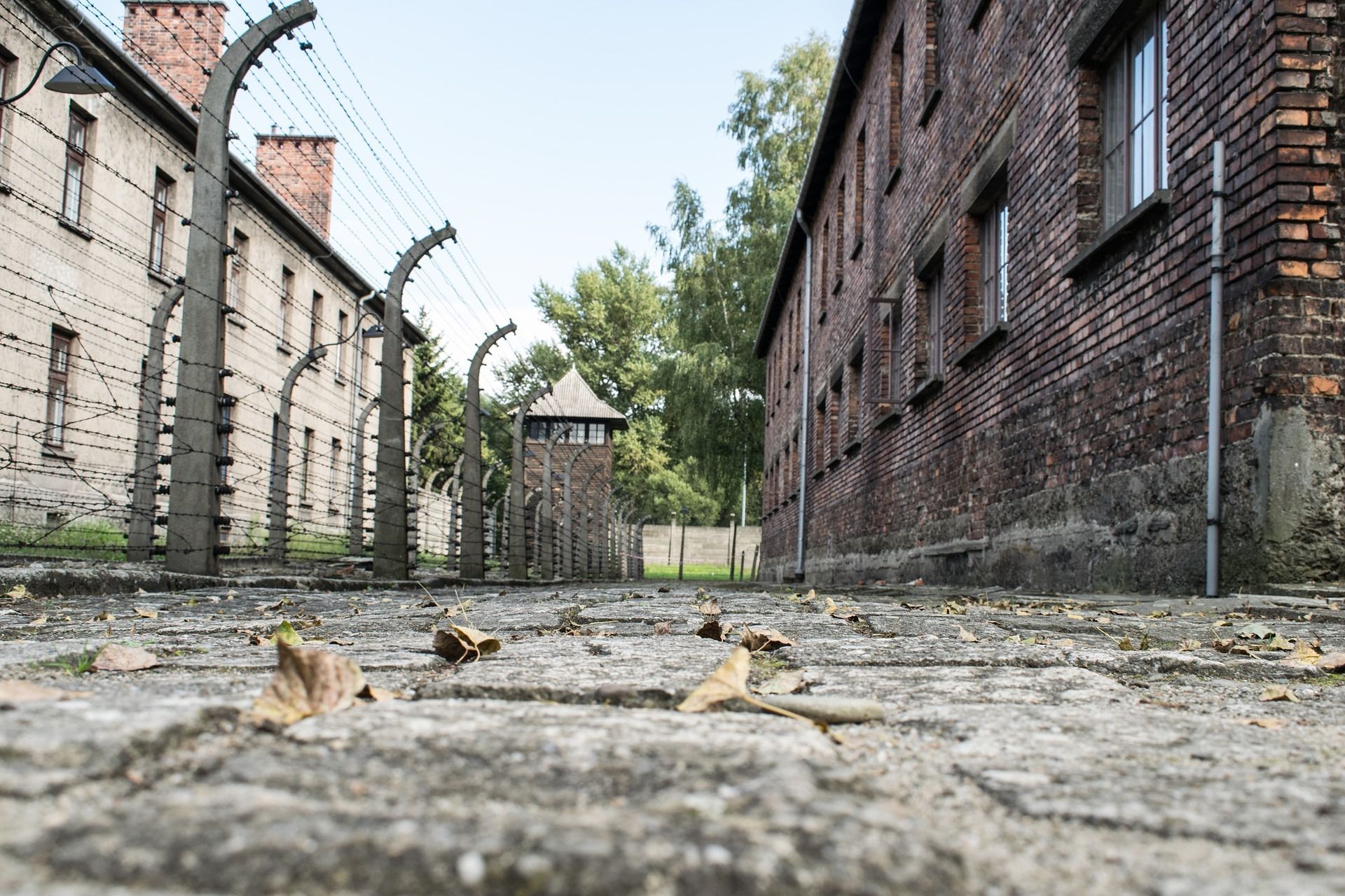 auschwitz tour and hotel package