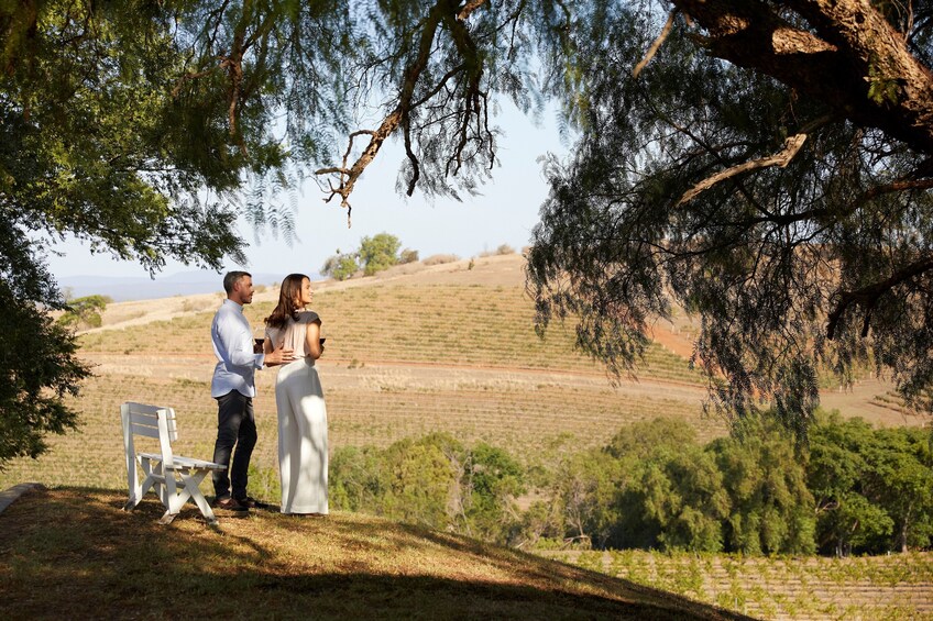 Hunter Valley Wine Grazing Tour with Lunch from Sydney