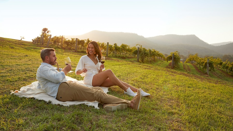 Hunter Valley Scenic Wine & Dine Tour with Lunch from Sydney