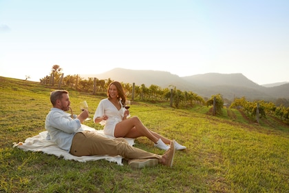 Hunter Valley Scenic Wine & Dine Tour with Lunch from Sydney
