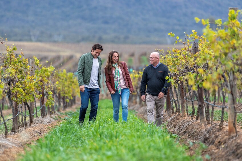 Hunter Valley Wine Grazing Tour with Lunch from Sydney
