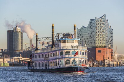Hamburg Harbour Boat trip (1 hour) 