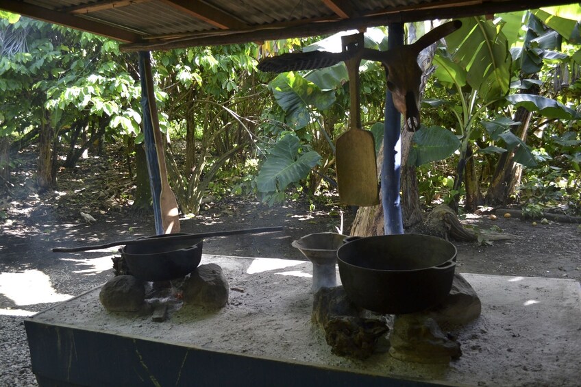 Bavaro Runners - The Best of the Dominican Countryside