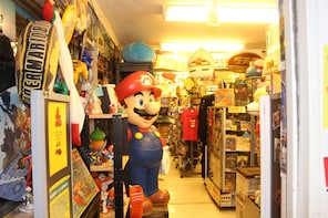 Akihabara Anime & Nature Electric-Bike Tour