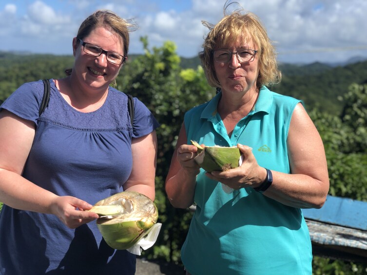 St. Lucia Island & Sea Adventure