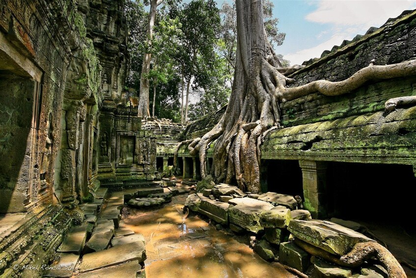 Explore Siem Reap Half Day Group Tour