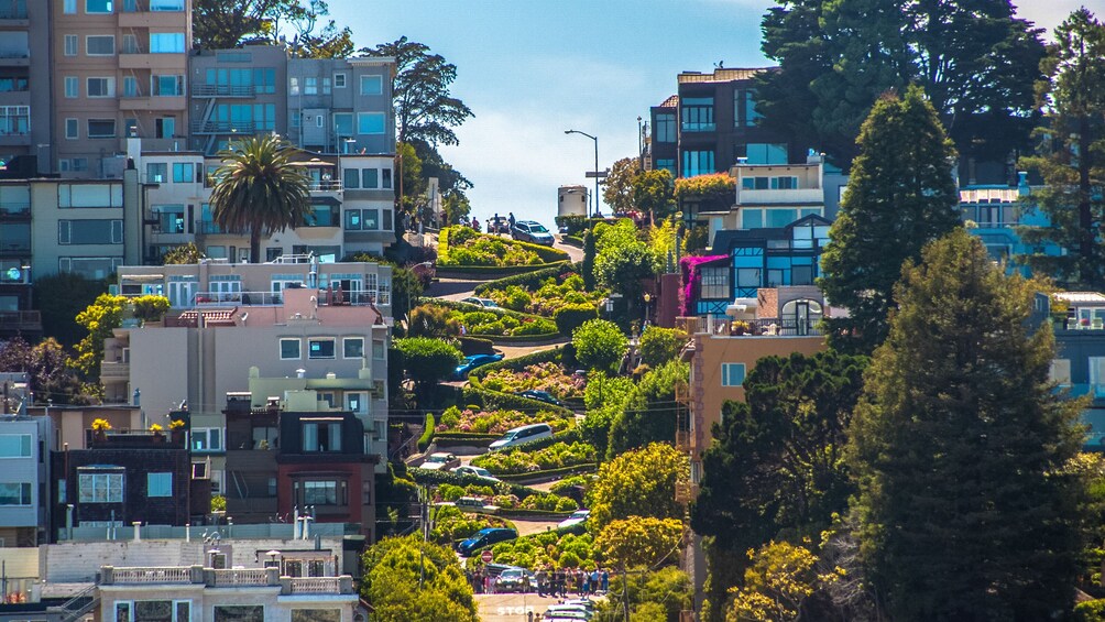 San Francisco Guided City Tour with Alcatraz Island