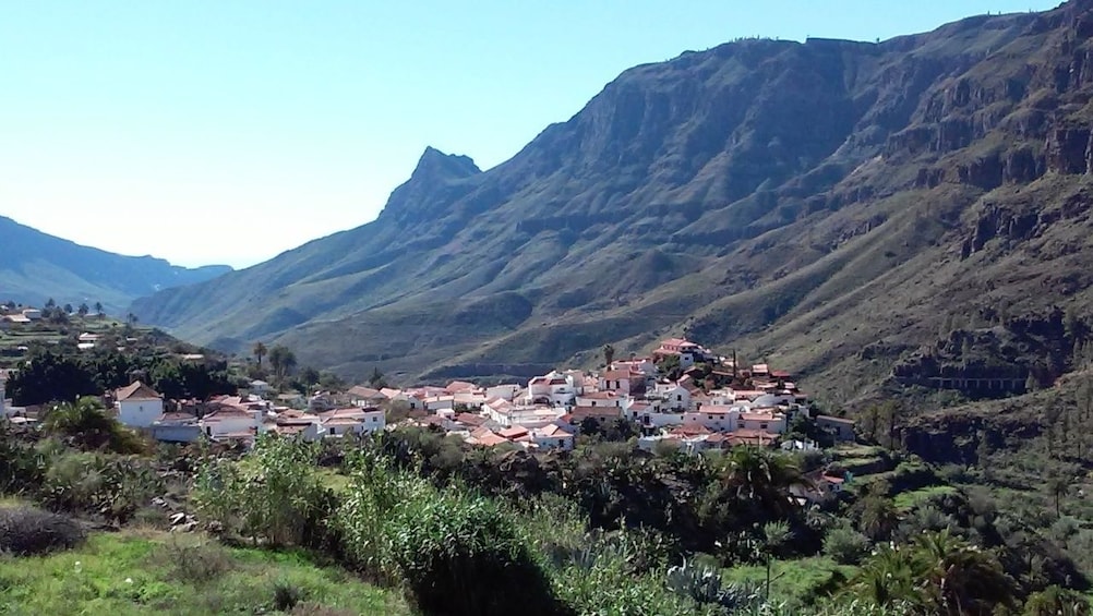 Lazy Wednesday Tour from Las Palmas