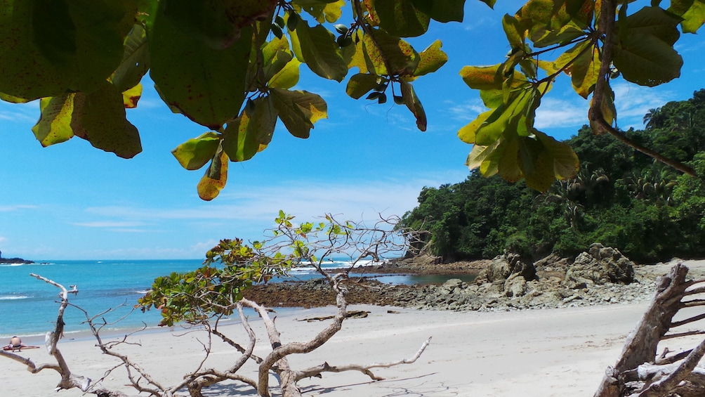 Beach at Manuel Antonio National Park in Costa Rica