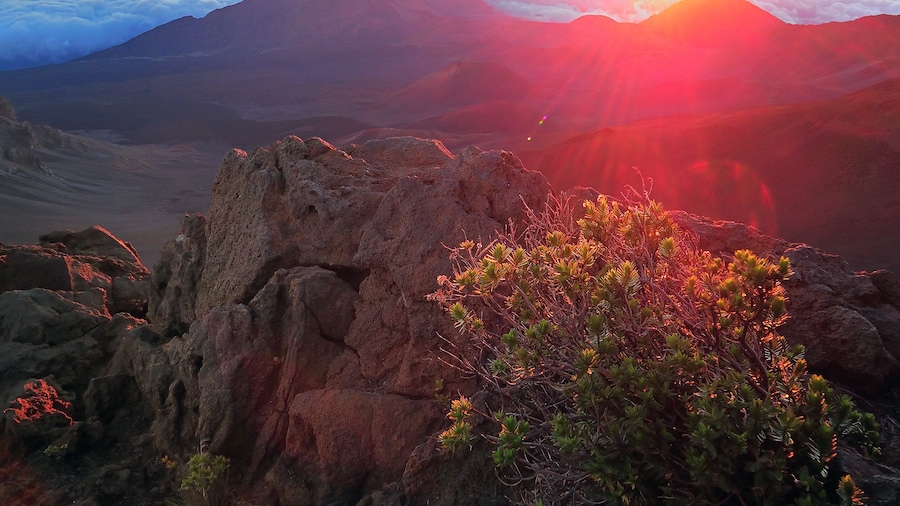 Morning views at Haleakalā National Park