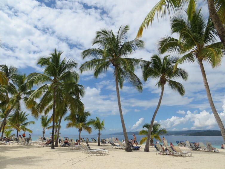 Large palm trees on a beach of Cayo Levantado