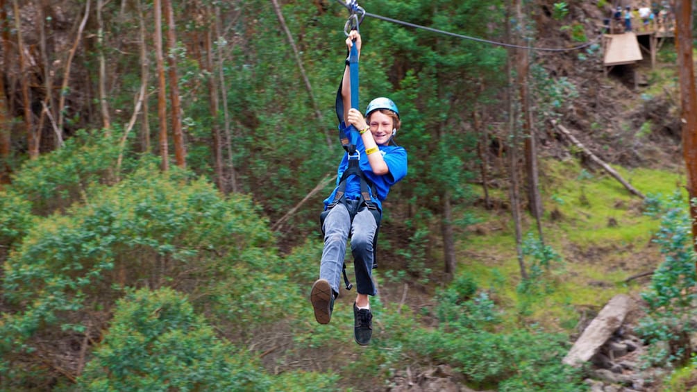 Haleakala Zipline 5 line Adventure 