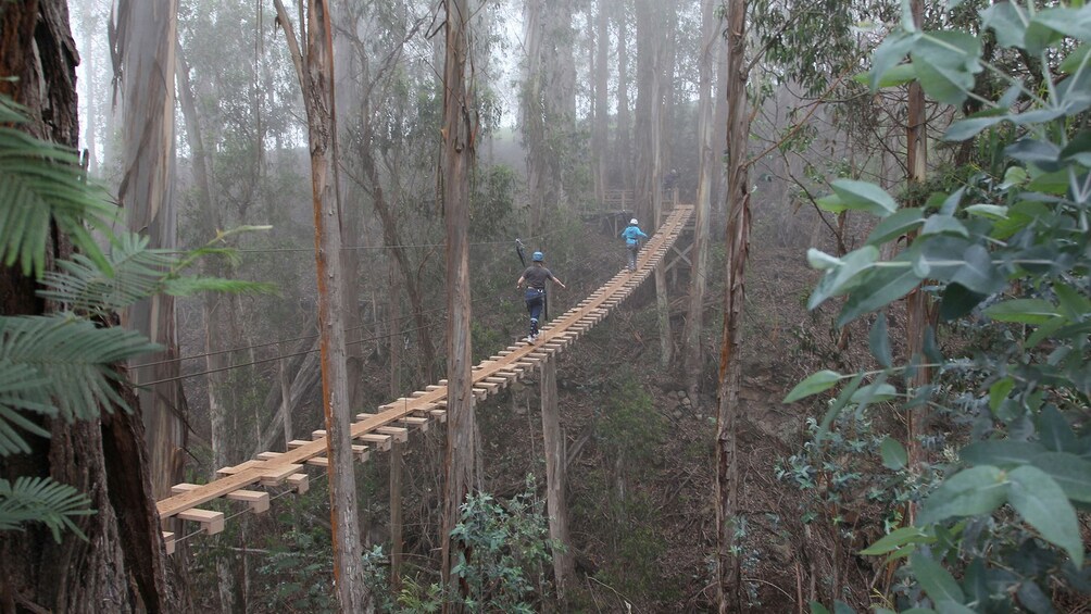 Haleakala Zipline 5 line Adventure 