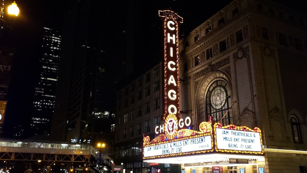 Chicago Panoramic Night Tour
