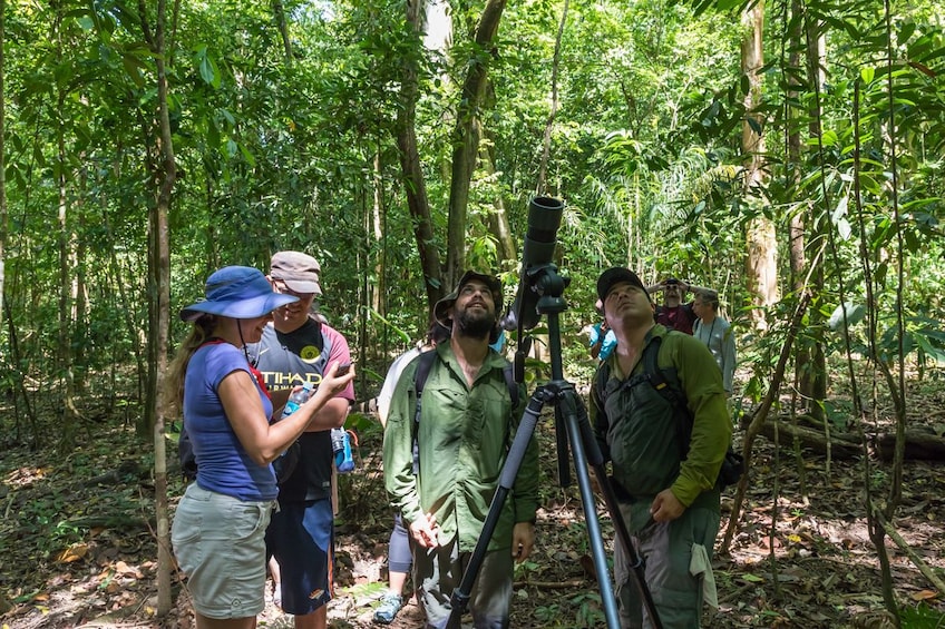 Bird watchers in Costa Rica