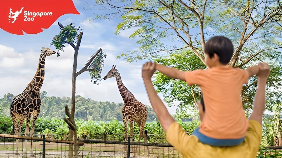 Singapore Zoo Entry Ticket