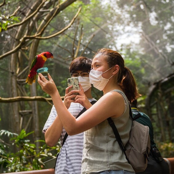 Singapore Zoo