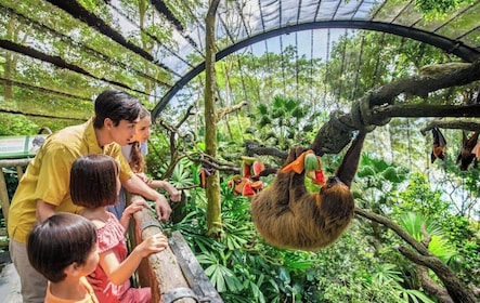 Eintrittskarte für den Zoo Singapur