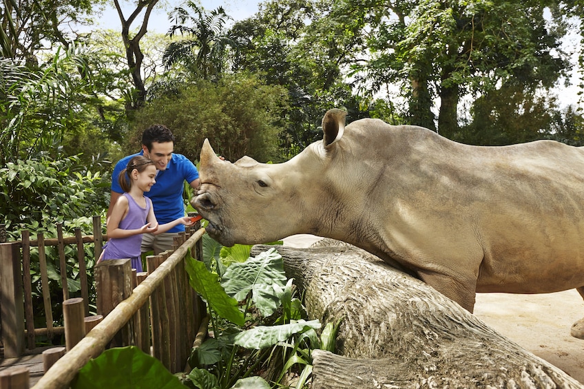 Singapore Zoo