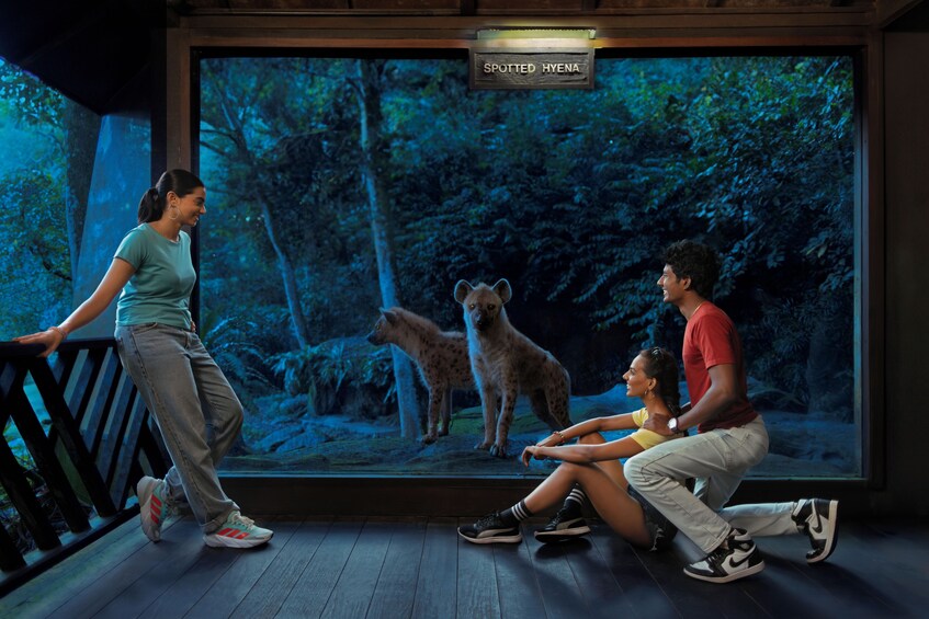 Night Safari Entry Ticket