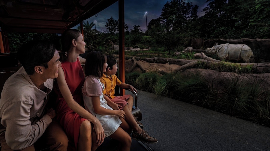 Night Safari Entry Ticket