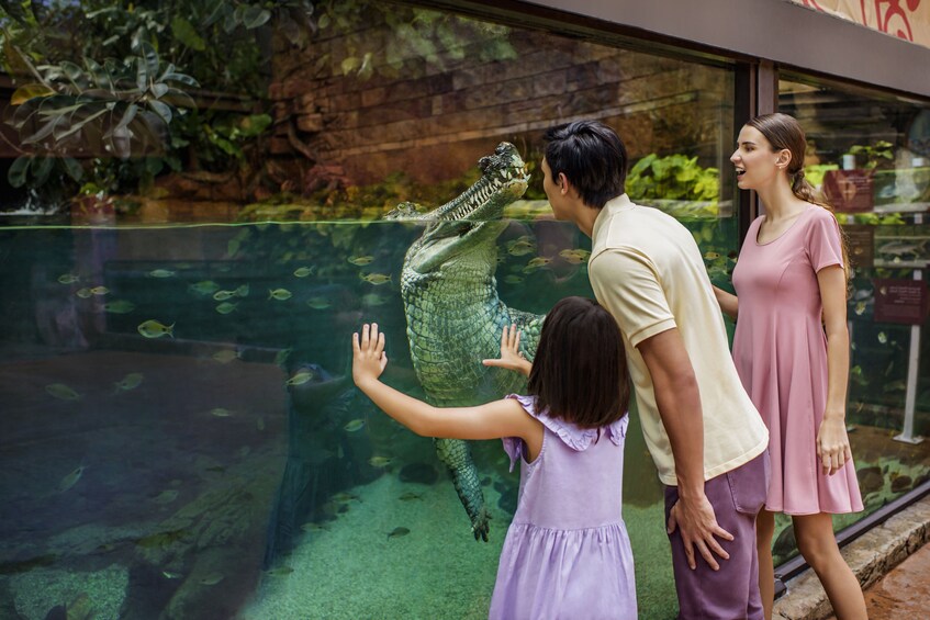Singapore River Wonders
