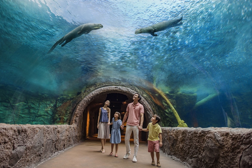 Singapore River Wonders