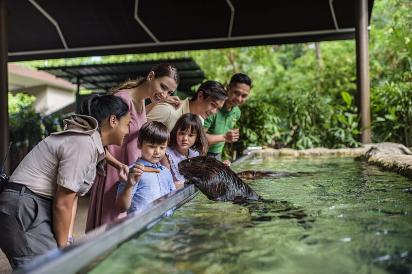 Singapore River Wonders