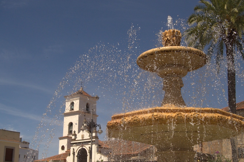 Fountain in Merida