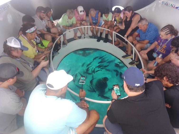 Glass Bottom Boat Shipwrecks Tour 