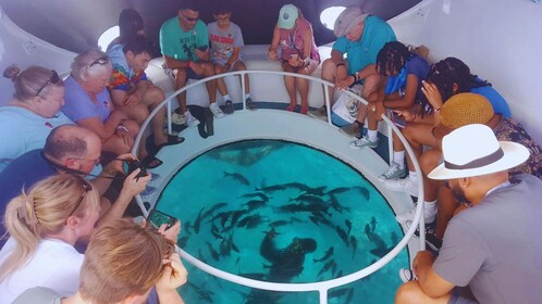 Glass Bottom Boat Shipwrecks Tour