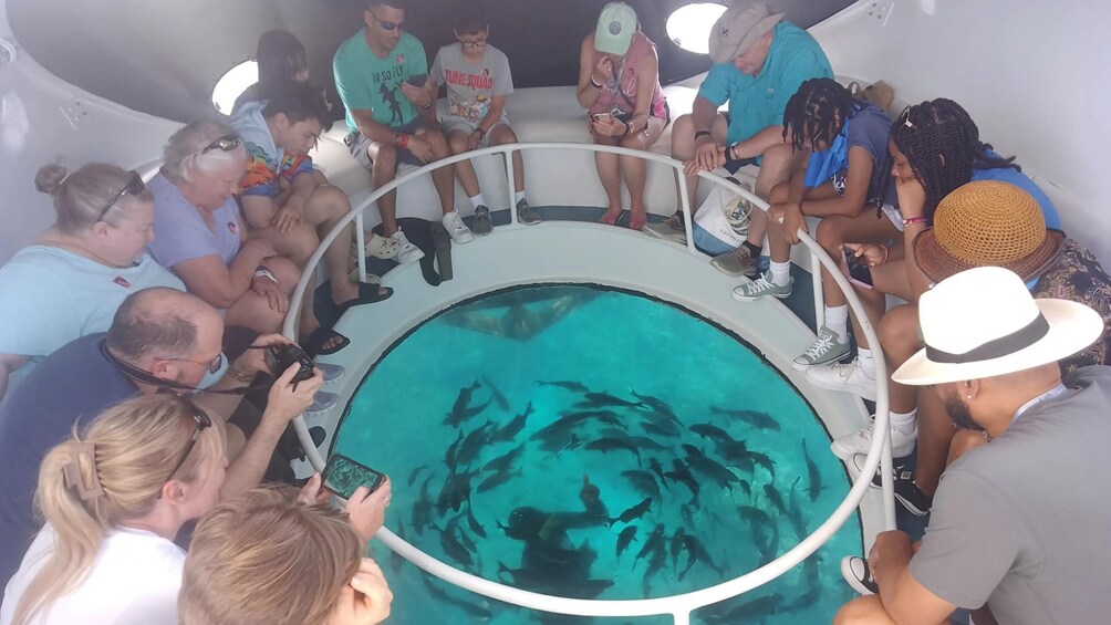 Glass Bottom Boat Shipwrecks Tour 