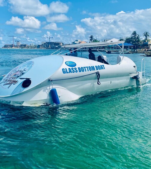 Glass Bottom Boat Tour 