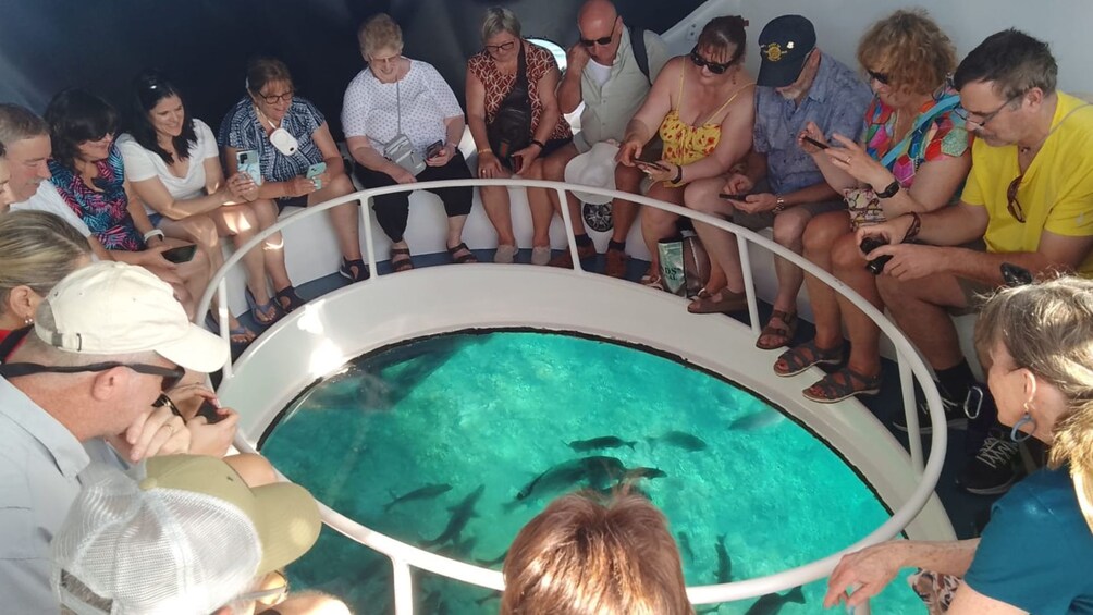 Glass Bottom Boat Shipwrecks Tour 