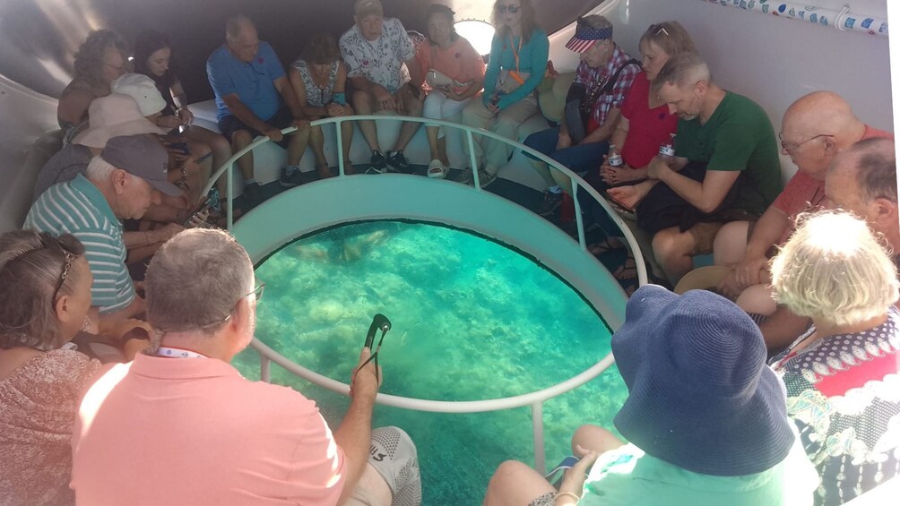 Glass Bottom Boat Shipwrecks Tour 