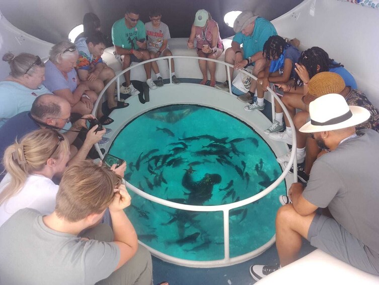 Glass Bottom Boat Tour 